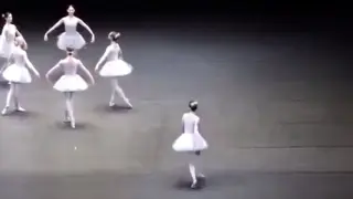 At the scene of a foreign ballet performance, a stupid swan accidentally got in...