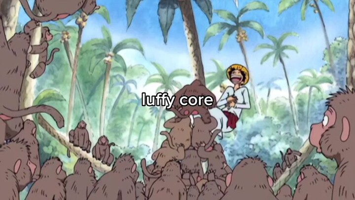 luffy core