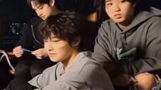 StrayKids memiliki delapan penggemar dan satu otak, dan semua anggotanya mirip pabo