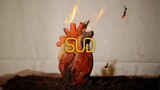 SUD - My Heart Is Buried In Venice (Ricky Montgomery Cover)