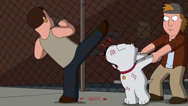 【Family Guy】Đá Brian