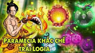 Top 7 Trái Ác Quỷ Paramecia Đẳng Cấp Và Mạnh Mẽ Khắc Chế Được Logia (P2)