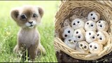 AWW SO CUTE! Cutest baby animals Videos Compilation Cute moment of the Animals - Cutest Animals #63