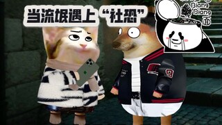 第14集 | 当流氓遇上“社恐”