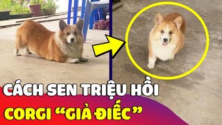 Cách Sen triệu hồi một 'CHÚ CHÓ GIẢ ĐIẾC' hết sức nhanh gọn không động tác thừa 😅 Gâu Đần