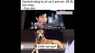 Ảnh Chế Hài Hước #67 - Chắc Tại Tao