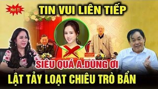 TIN BUỒN : CEO NGUYỄN PHƯƠNG HẰNG BỊ BẮT TẠM GIAM DO ĐƠN TỐ CÁO CỦA VY OANH