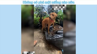 M nghịch nữa đi #funny #haihuoc