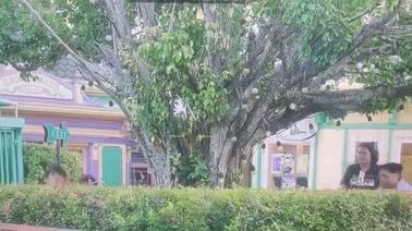 Ang Mutya ng Section E