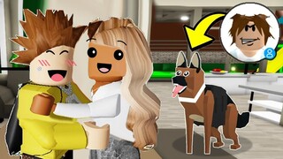 pretending to be a pet in roblox