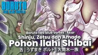 RENCANA SHIBAI UNTUK SHINJU DAN ZETSU ADALAH TEKAD KEMBALI BANGKIT KEBUMI SEPERTI KAGUYA