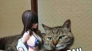 Cat Is like girl 2d