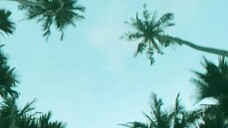 Cuốn Sách Kỳ Diệu Mùa Hè EP 1 [Sub Việt]