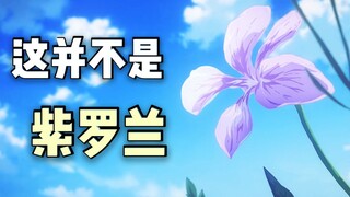 经典误区！京紫中的"Violet"究竟是什么花？【语后小故事06】