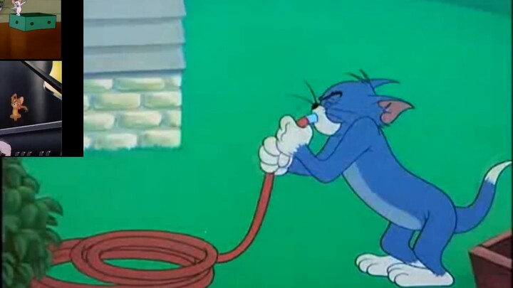 [Tom và Jerry] Chú mèo ở bể bơi sân sau