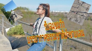 เดินเล่นกินลม ชมวิว ตากอากาศบางปู