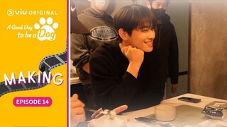 Ep 14 Making | A Good Day to be a Dog | Cha Eun Woo, Park Gyu Young [ENG SUB]