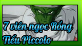 7 viên ngọc Rồng
Tiểu Piccolo