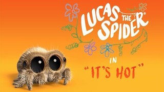 【小蜘蛛卢卡斯】好热！ || Lucas the Spider【斑豆搬运】