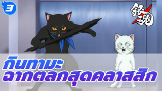 ฉากฮาๆ ที่ดูร้อยรอบก็ไม่เบื่อในกินทามะ (Part 12)_3