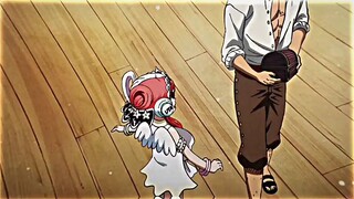 luffy tidak sadar kalau buah yg dia makan buah model dewa matahari/ NIKA😈😳