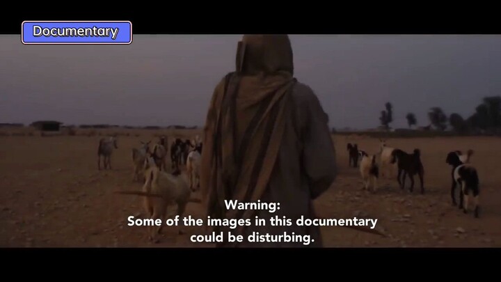 Pakistani's forgotten civilization (Documentary) #ctto