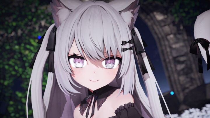 NEET cat contrast moment! ｜Commissioned display