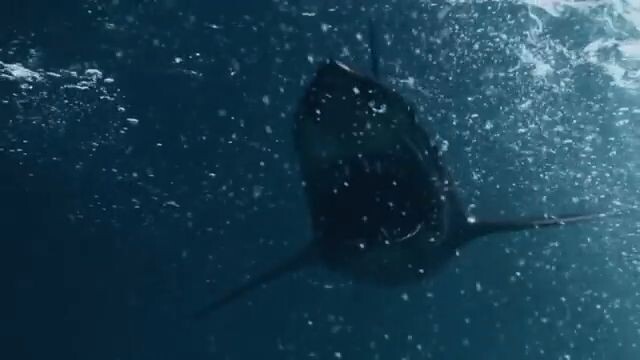 Watch Ice Sharks foor Free : link in description