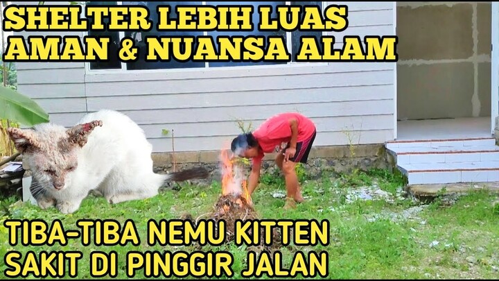 KUCING ENDERIZA MAU PINDAH RUMAH!!!