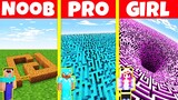 Minecraft Battle: NOOB vs PRO vs GIRL: MAZE BUILD HOUSE CHALLENGE / Animation