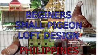 Beginners Small Pigeon Loft Design - Philippines | Bahay ng Kalapati