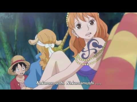 Lagu brook nekomamushi (One Piece) sub indo