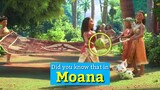 MOANA | 1 Obvious Detail You Missed...