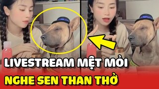 Bé Lu MỆT MỎI vì bị bắt lên LIVESTREAM mà chỉ toàn nghe THAN THỞ 😂 | Yêu Lu