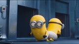 【Minions】X【Two Tigers Love Dancing】#funny#happy#popular animated movie recommendation#cute to explos