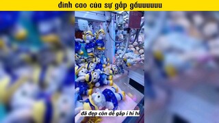 có ny biết gắp gấu là khoáiiii #haihuoc