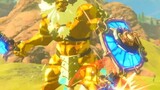 [The Legend of Zelda] Pertarungan ini terlalu mewah.