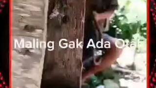 gak ada otak.. 🤣