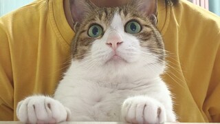 Sazuzu sedang memperhatikan tikus dengan sangat serius