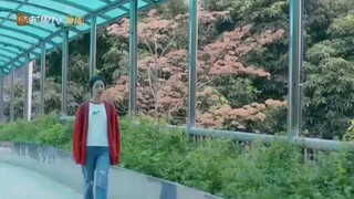 Perfect And Casual CDrama English Sub Ep 12