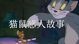 感动你我的猫鼠故事（上）