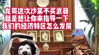 沙中经济特区 #猫meme #猫meme小剧场 #沙特 阿拉伯 #和平 #兔子