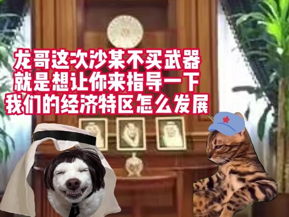 沙中经济特区 #猫meme #猫meme小剧场 #沙特 阿拉伯 #和平 #兔子