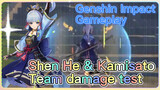 [Genshin Impact  Gameplay]  Shen He & Kamisato  Team damage test