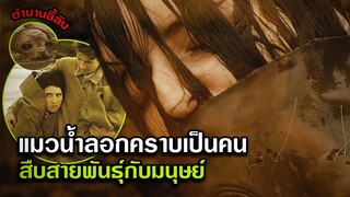 ตำนานลี้ลับ แมวน้ำลอกคราบเป็นสาวสวย สืบสายพันธุ์กับมนุษย์ | สปอยหนัง the secret of roan inish