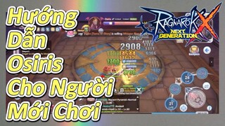 Hướng Dẫn Osiris Cho Người Mới Chơi (Ragnarok X: Next Generation)