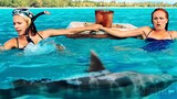 Surrounded by Sharks | Couples Retreat | CLIP