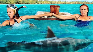 Surrounded by Sharks | Couples Retreat | CLIP