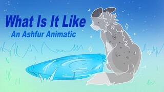 [ WHAT IS IT LIKE ] An Ashfur Animatic