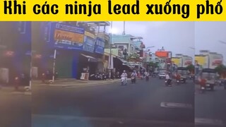 Ninja lead du hành :000